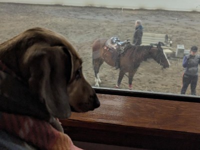 Watching Mommy Ride