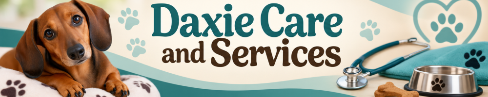 Daxie Care and Services