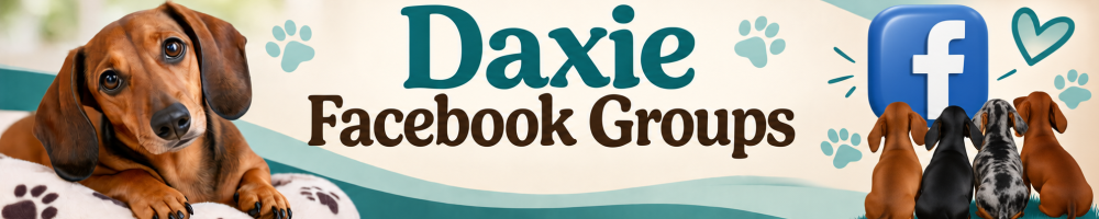 Daxie Facebook Groups
