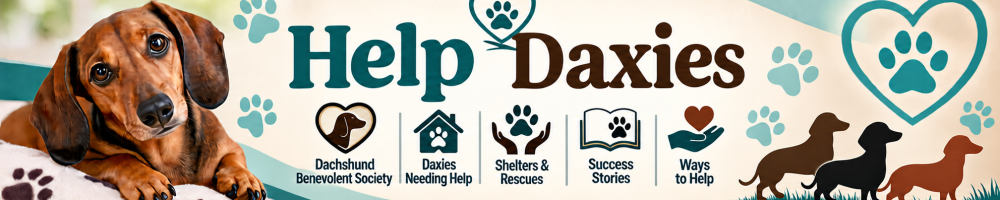 Help Daxies